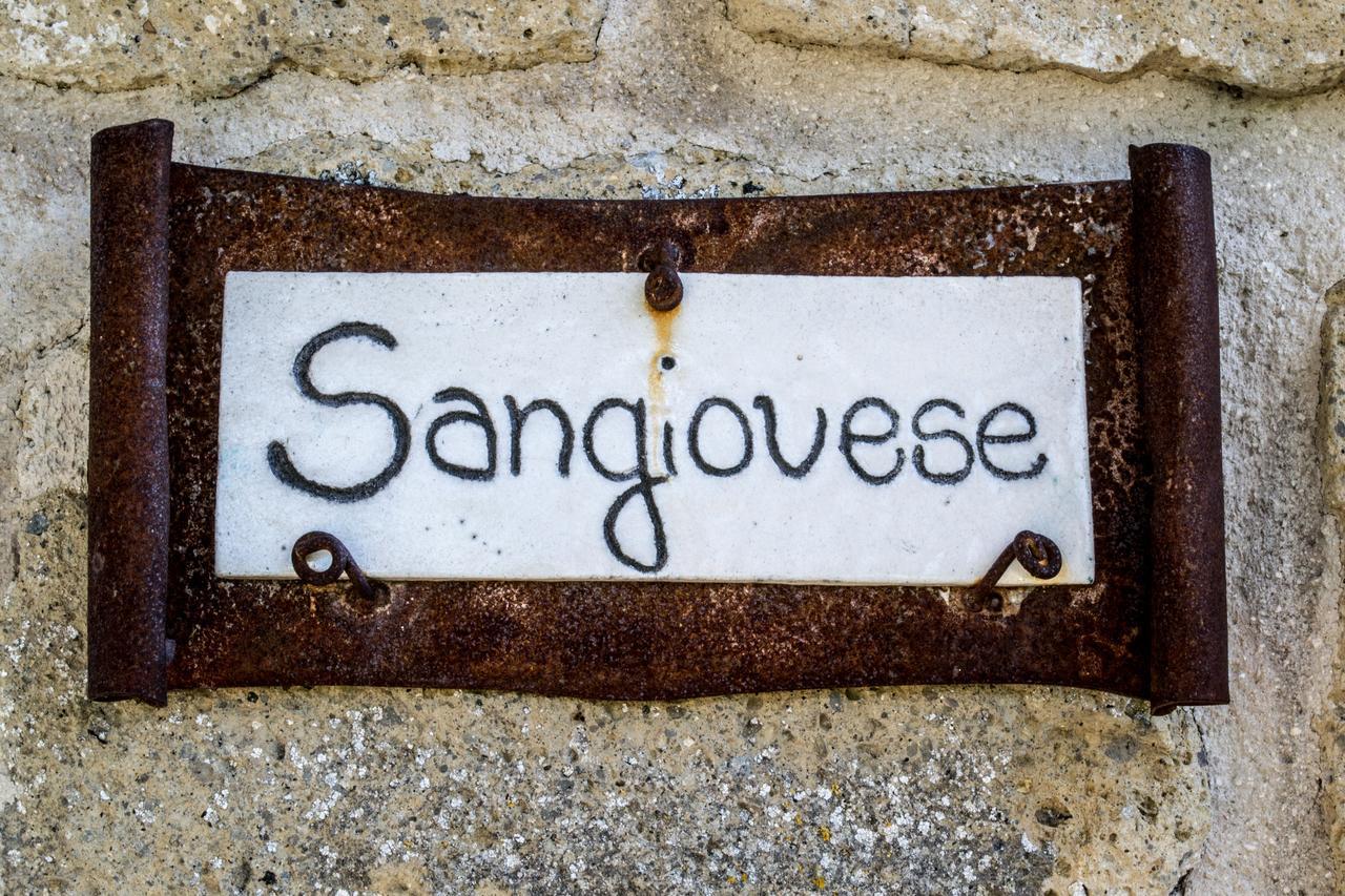 Agriturismo Poggio Delle Conche Pitigliano Exterior foto